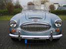 Restauration Austin-Healey