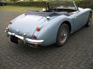 Restauration Austin-Healey